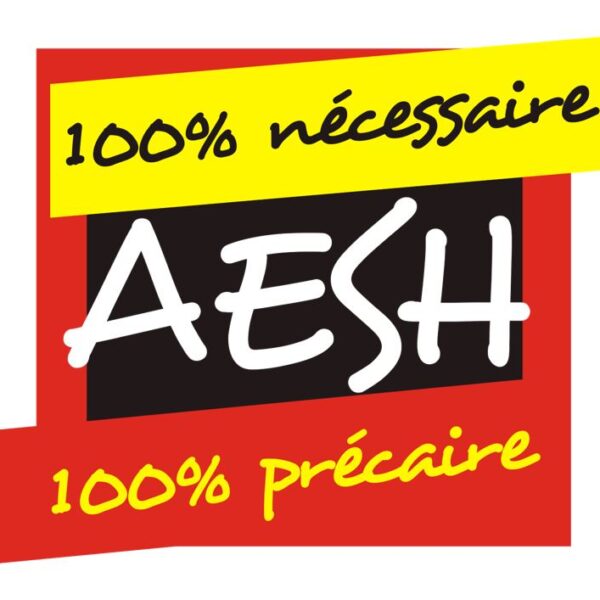 Un statut pour les AESH ? Nous sommes encore loin…