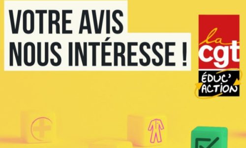 Conditions de travail des AESH, les 1er résultats de la grande enquête nationale