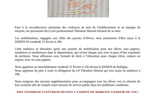 13 février – LP Théodore Monod : Une mobilisation et des revendications claires à la DSDEN de Bobigny à 18h